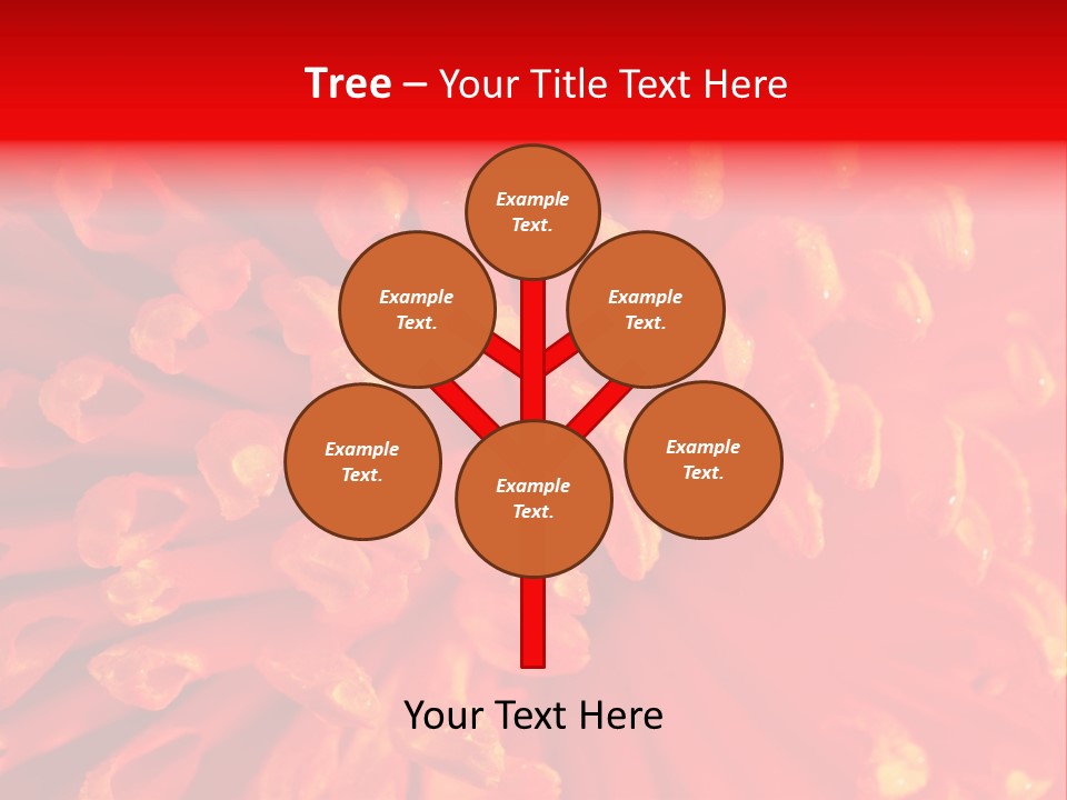 Fresh Macro Spring PowerPoint Template