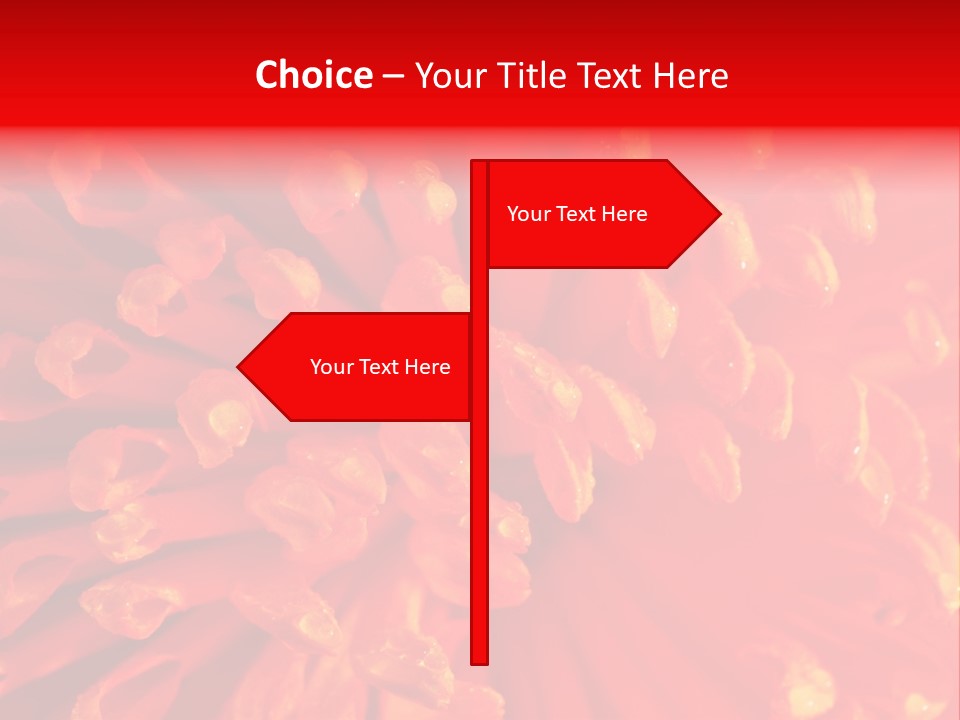 Fresh Macro Spring PowerPoint Template