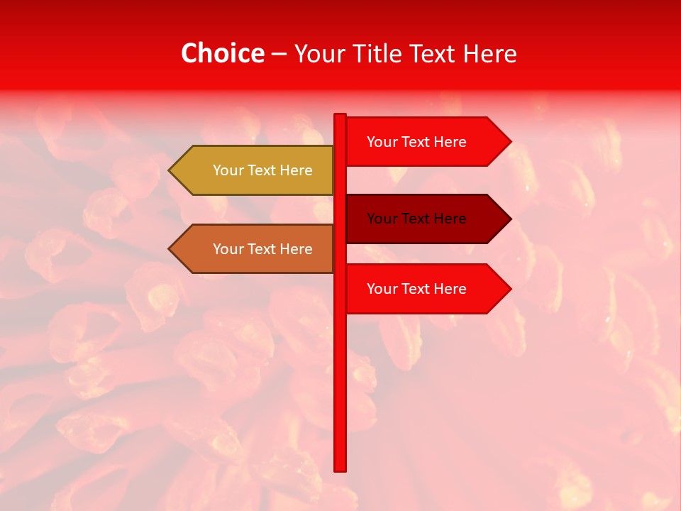 Fresh Macro Spring PowerPoint Template