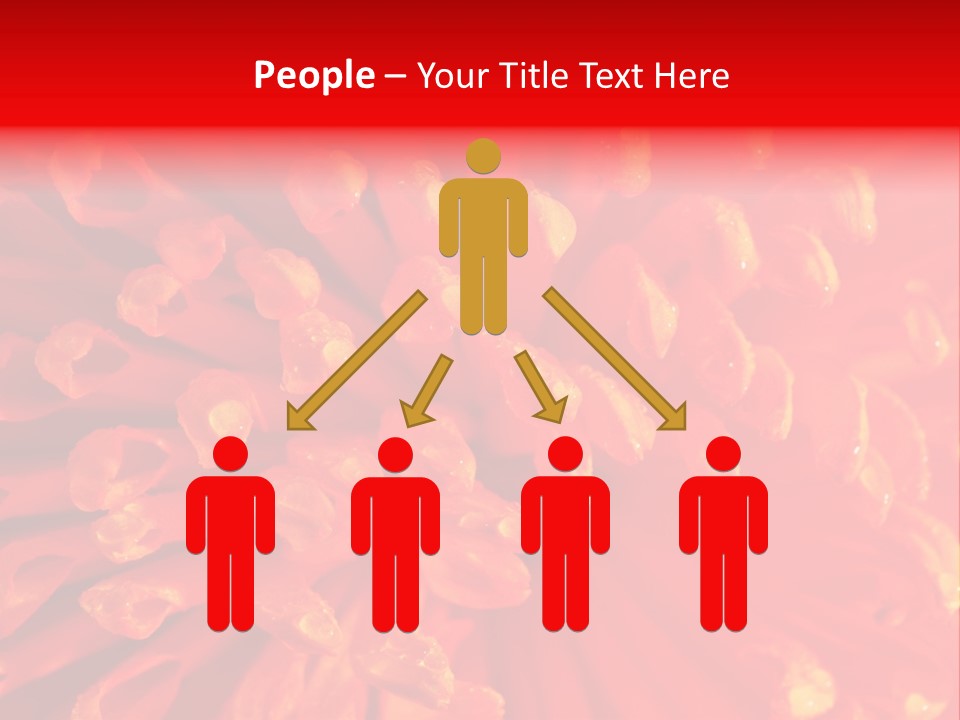 Fresh Macro Spring PowerPoint Template