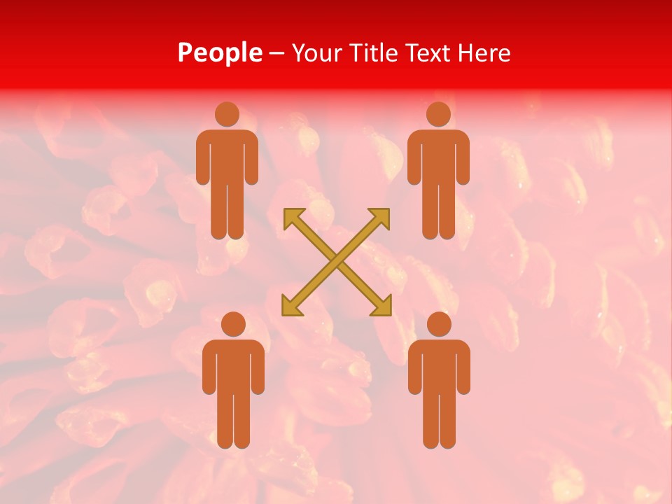 Fresh Macro Spring PowerPoint Template