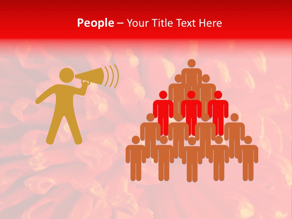 Fresh Macro Spring PowerPoint Template