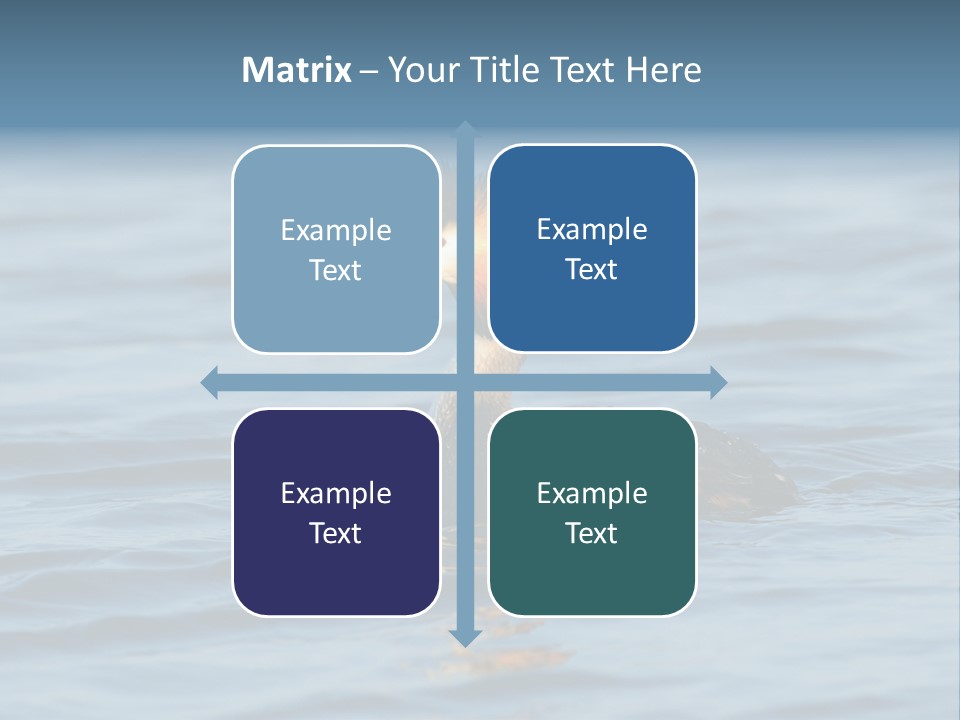 Reflection Outdoor Waterfowl PowerPoint Template