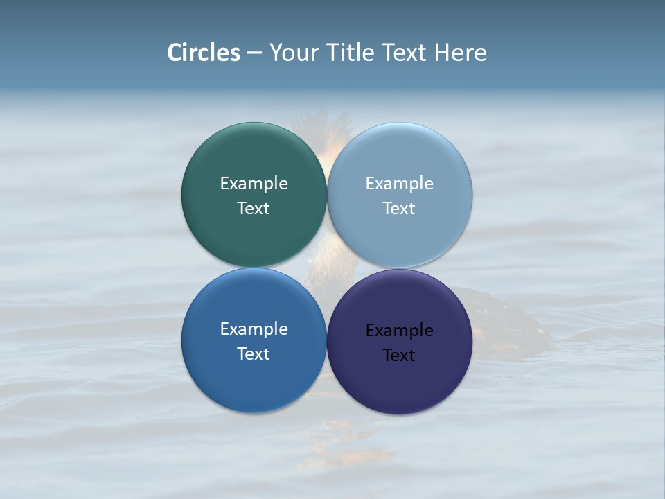 Reflection Outdoor Waterfowl PowerPoint Template