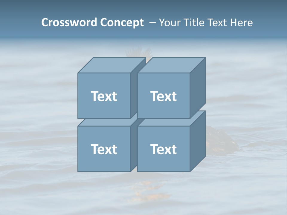 Reflection Outdoor Waterfowl PowerPoint Template
