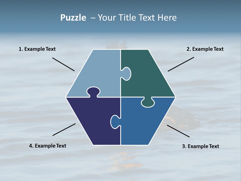 Reflection Outdoor Waterfowl PowerPoint Template