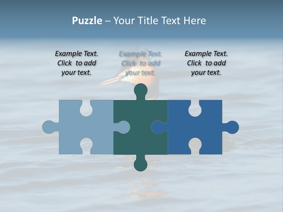 Reflection Outdoor Waterfowl PowerPoint Template