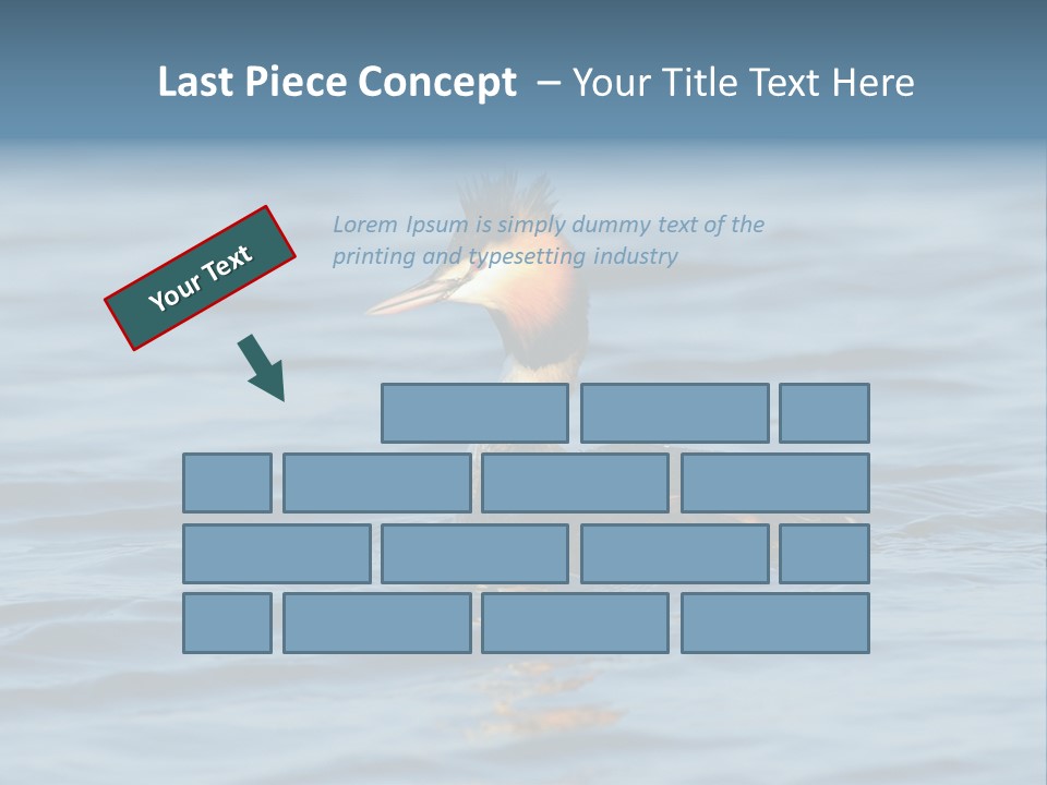 Reflection Outdoor Waterfowl PowerPoint Template