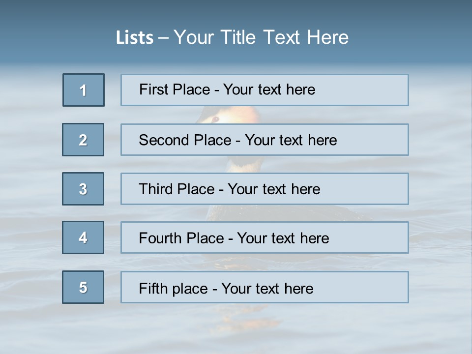 Reflection Outdoor Waterfowl PowerPoint Template