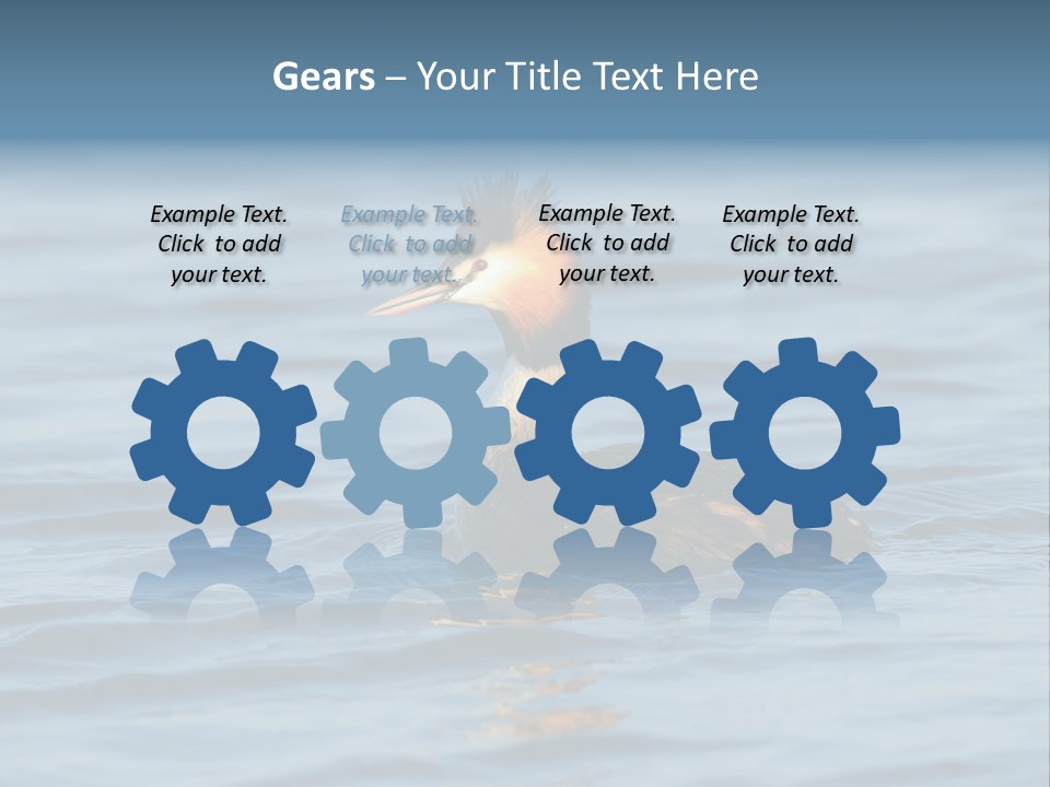 Reflection Outdoor Waterfowl PowerPoint Template