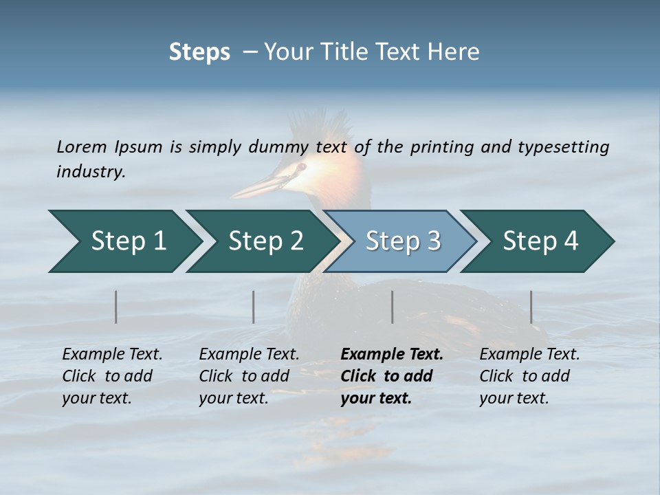 Reflection Outdoor Waterfowl PowerPoint Template