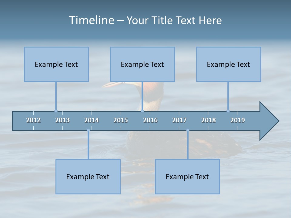 Reflection Outdoor Waterfowl PowerPoint Template