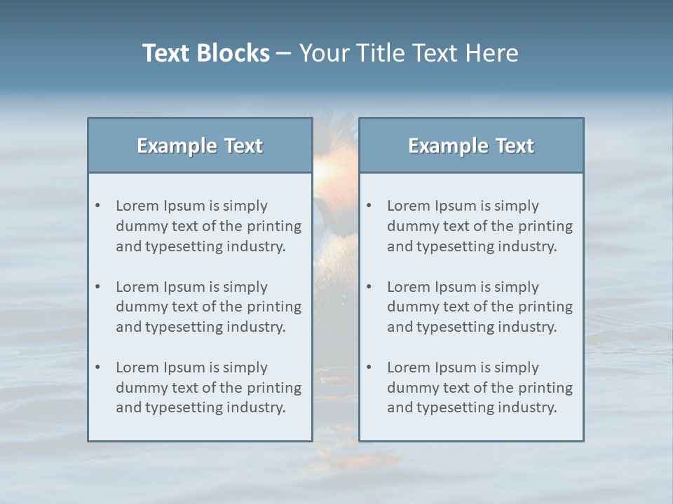 Reflection Outdoor Waterfowl PowerPoint Template