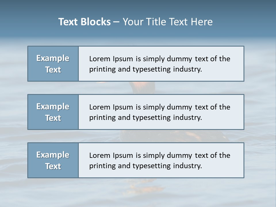 Reflection Outdoor Waterfowl PowerPoint Template