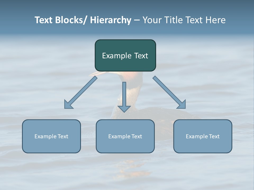 Reflection Outdoor Waterfowl PowerPoint Template