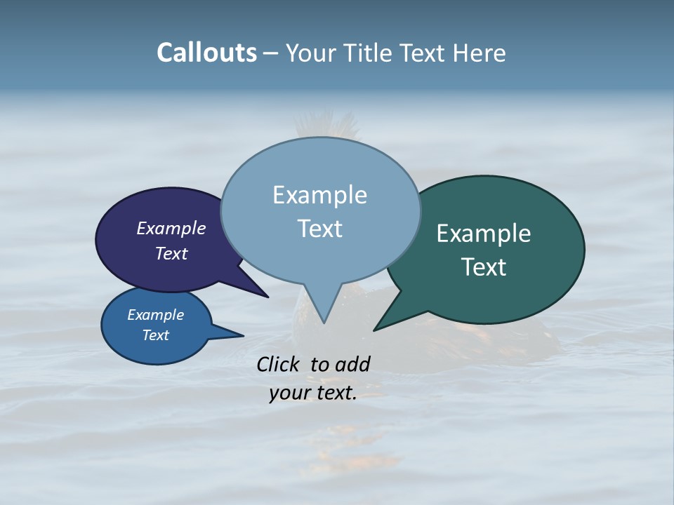 Reflection Outdoor Waterfowl PowerPoint Template