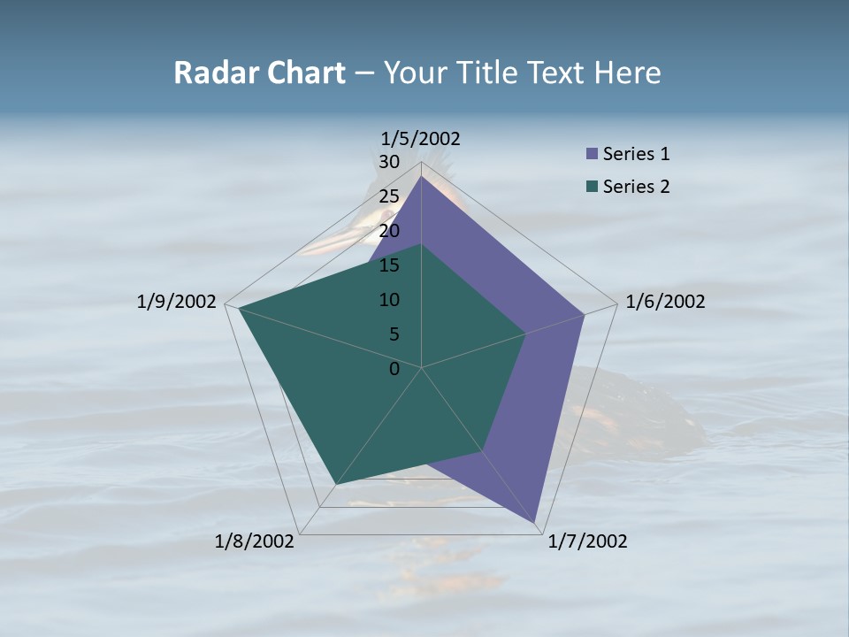 Reflection Outdoor Waterfowl PowerPoint Template