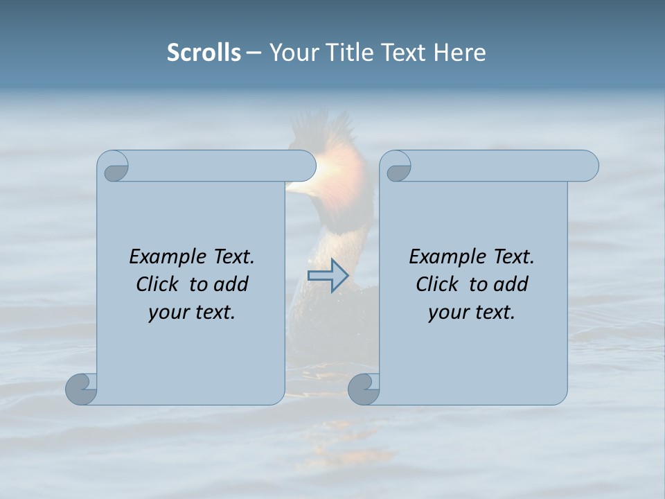 Reflection Outdoor Waterfowl PowerPoint Template