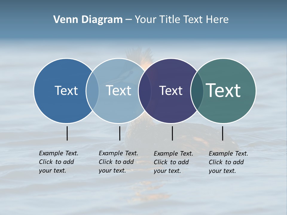 Reflection Outdoor Waterfowl PowerPoint Template