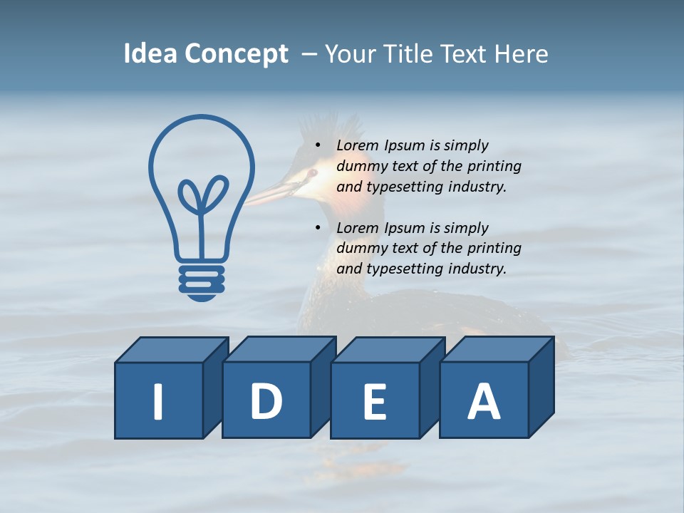 Reflection Outdoor Waterfowl PowerPoint Template