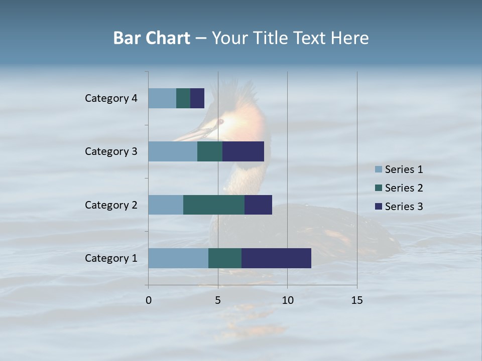 Reflection Outdoor Waterfowl PowerPoint Template