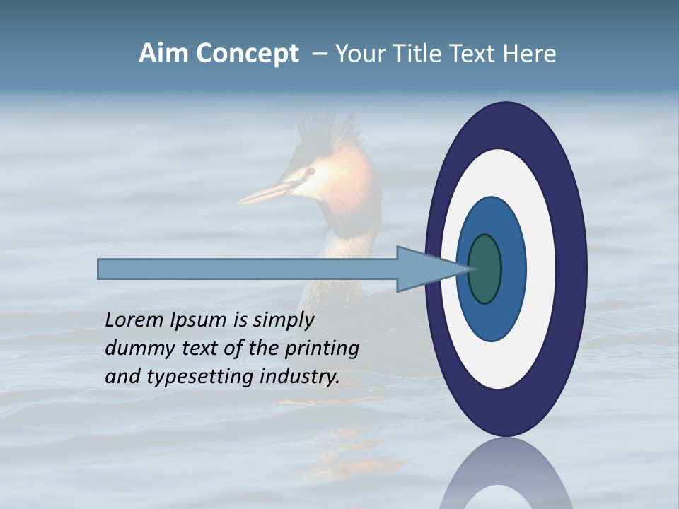 Reflection Outdoor Waterfowl PowerPoint Template