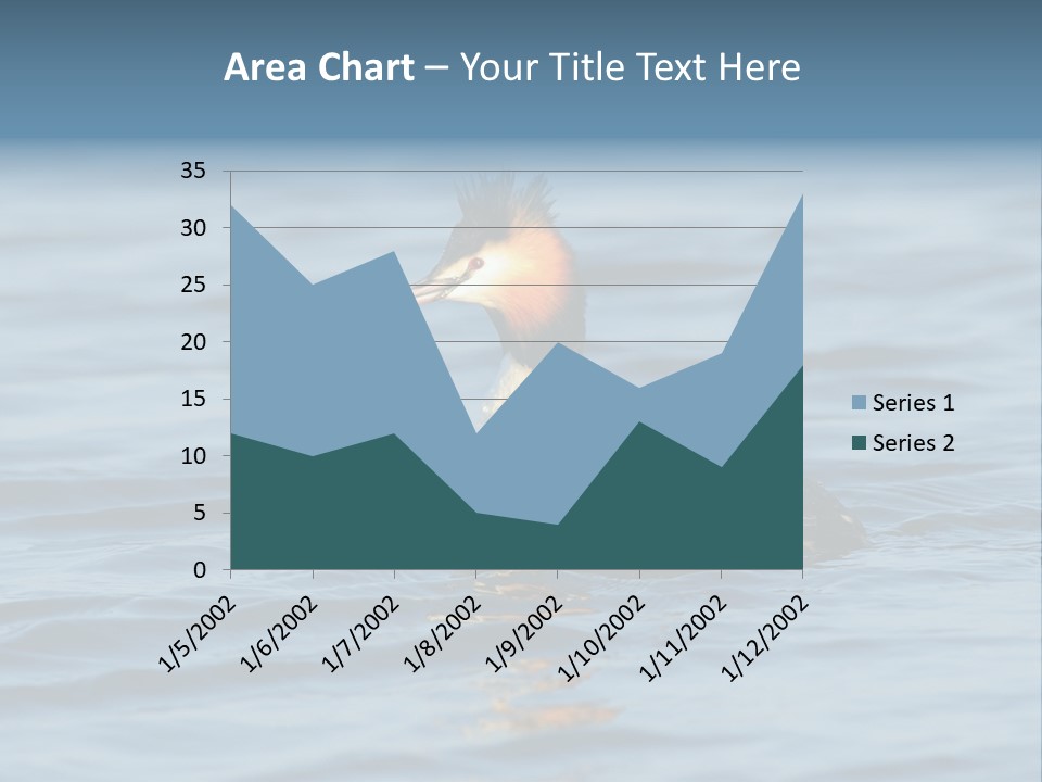 Reflection Outdoor Waterfowl PowerPoint Template