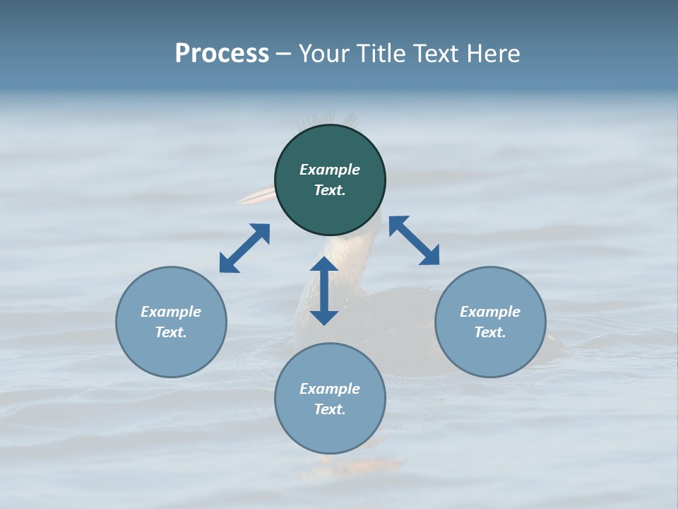 Reflection Outdoor Waterfowl PowerPoint Template