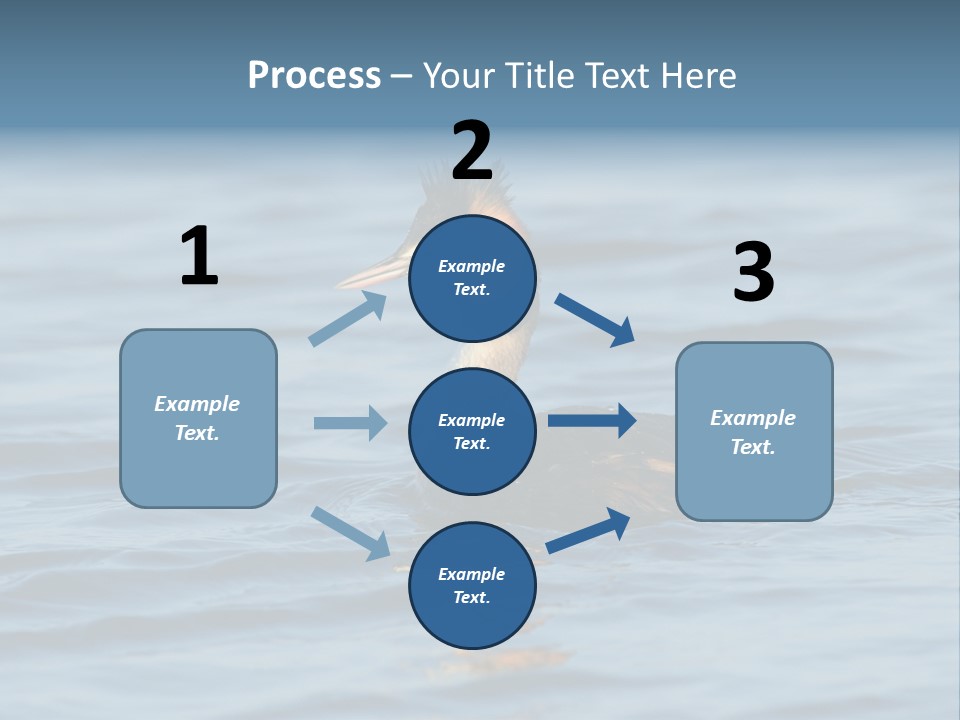 Reflection Outdoor Waterfowl PowerPoint Template