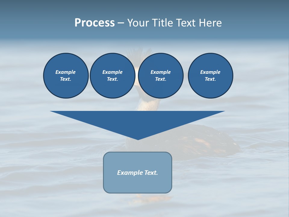 Reflection Outdoor Waterfowl PowerPoint Template