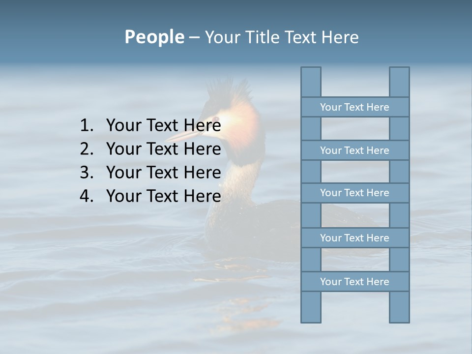 Reflection Outdoor Waterfowl PowerPoint Template