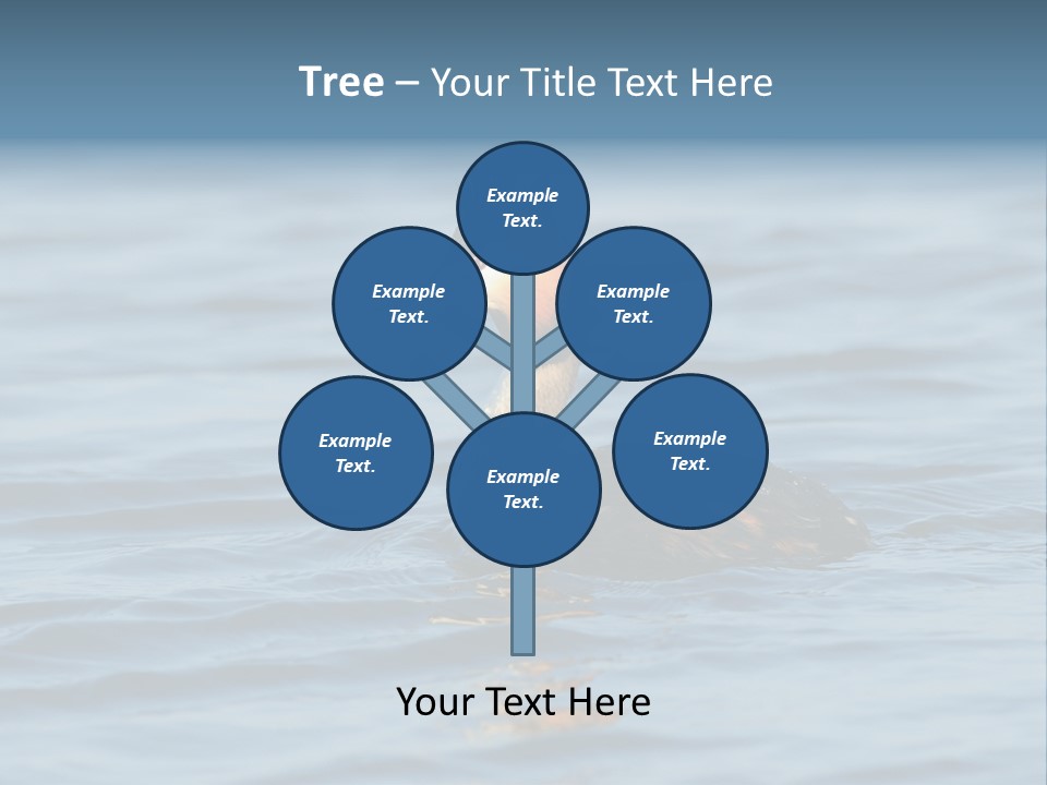 Reflection Outdoor Waterfowl PowerPoint Template