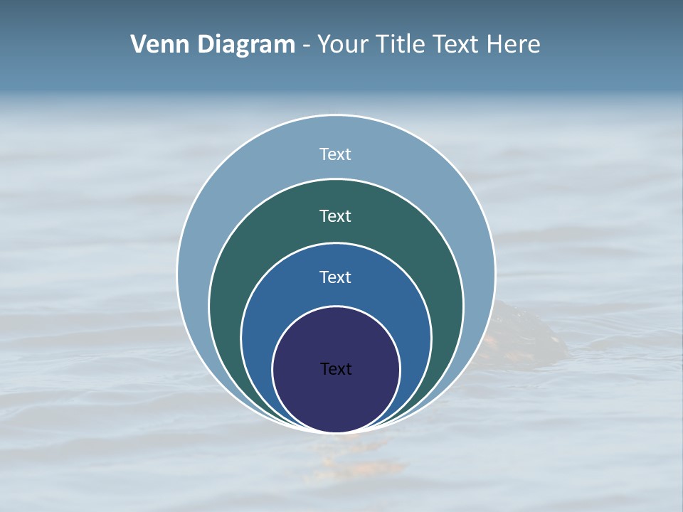 Reflection Outdoor Waterfowl PowerPoint Template