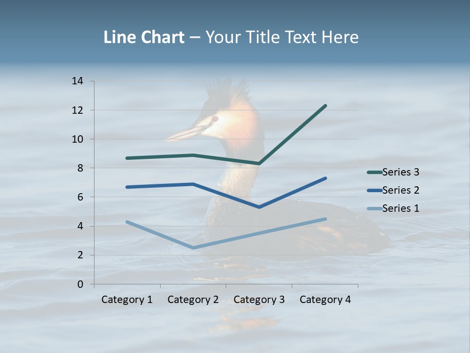 Reflection Outdoor Waterfowl PowerPoint Template
