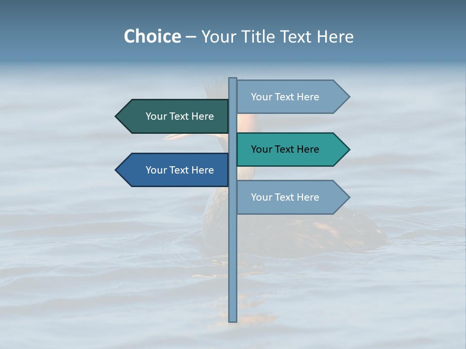 Reflection Outdoor Waterfowl PowerPoint Template