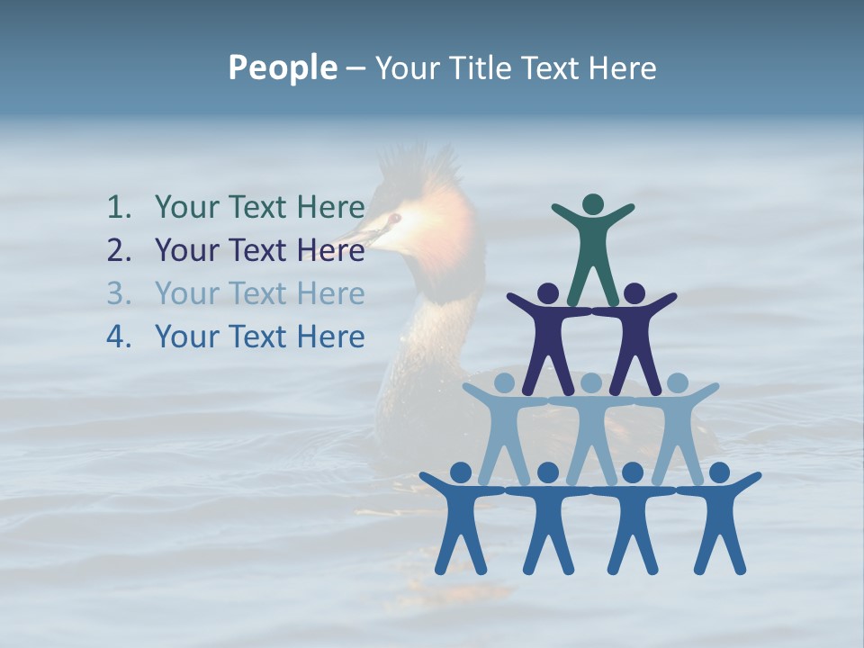 Reflection Outdoor Waterfowl PowerPoint Template