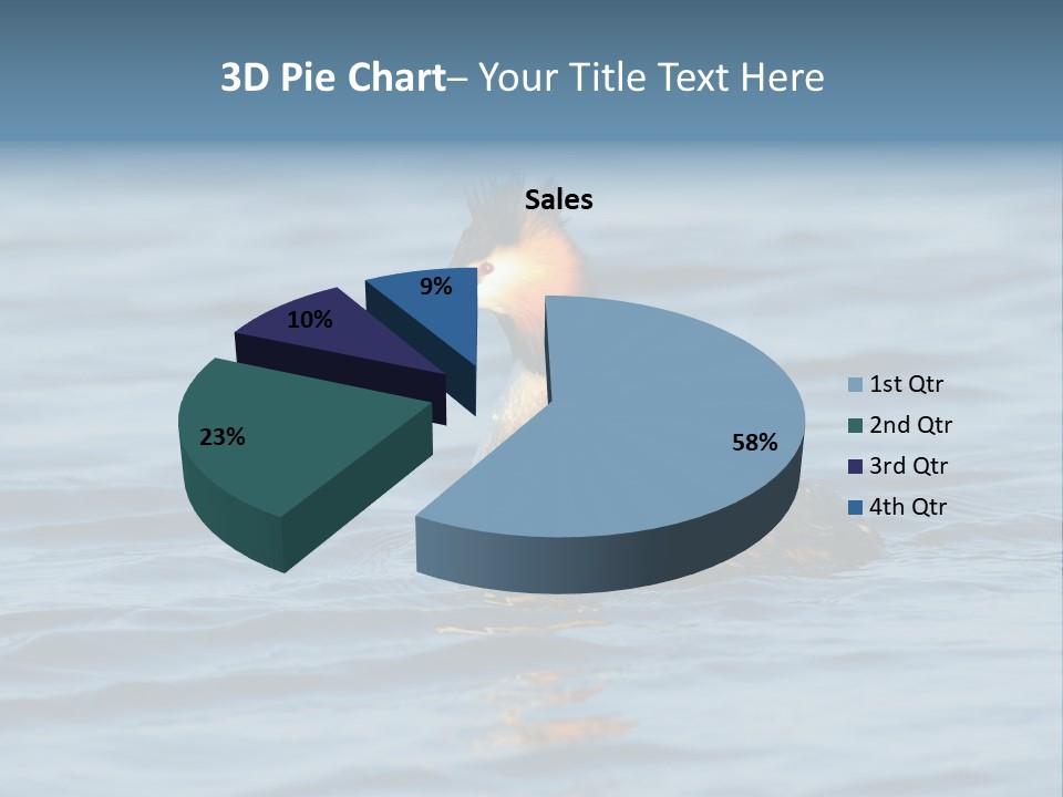Reflection Outdoor Waterfowl PowerPoint Template