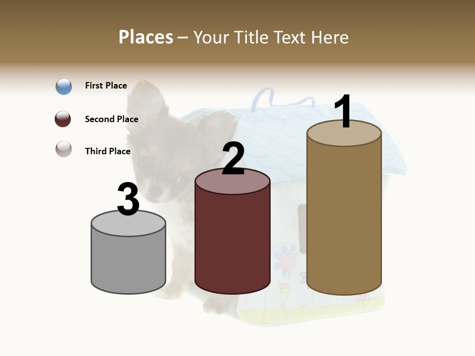 Care Treatment Body PowerPoint Template