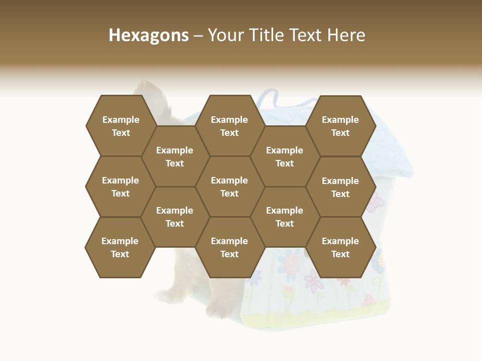 Care Treatment Body PowerPoint Template