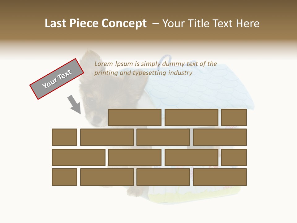 Care Treatment Body PowerPoint Template