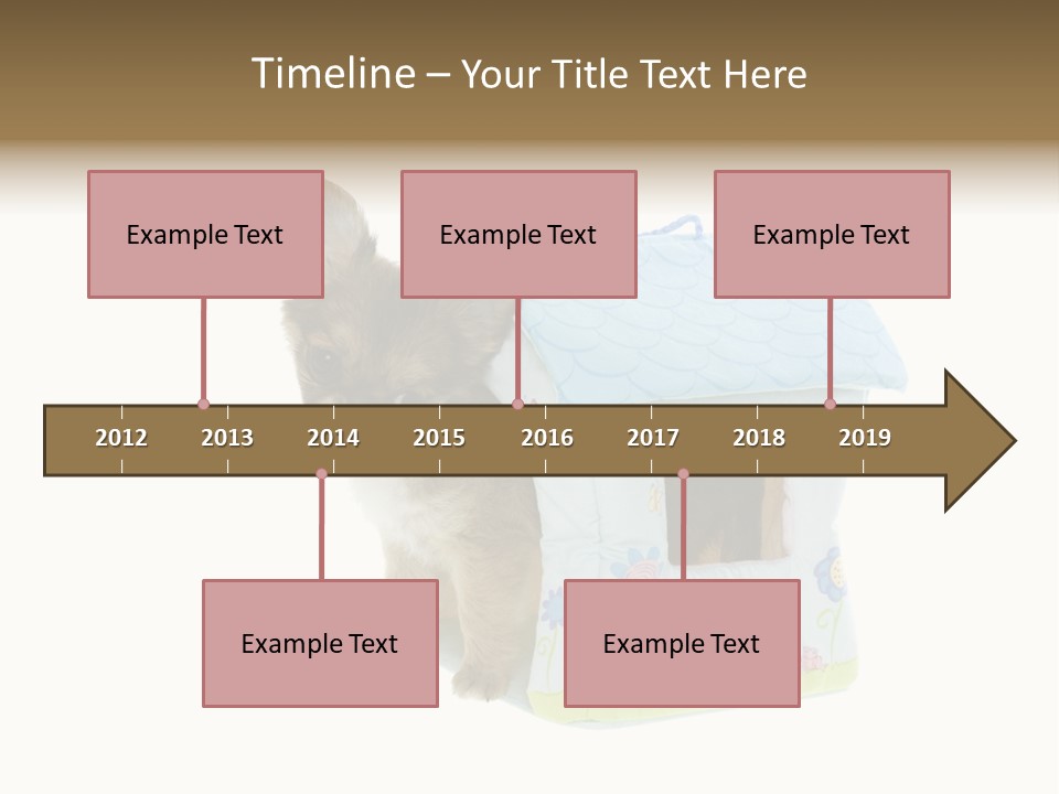 Care Treatment Body PowerPoint Template