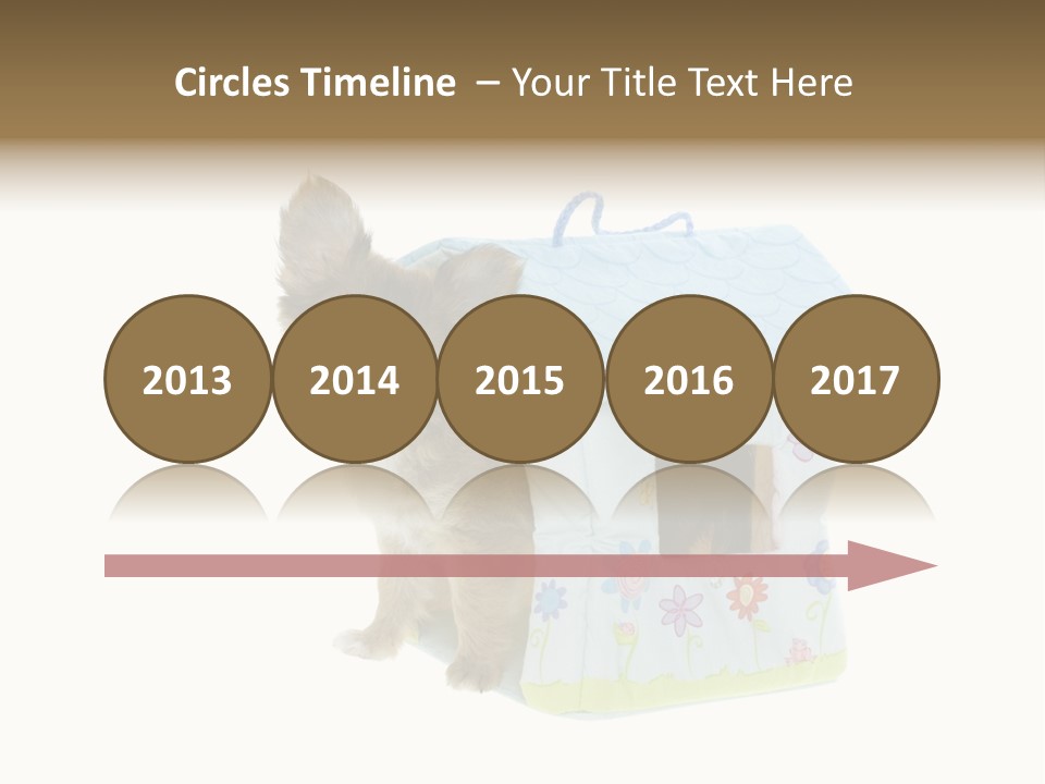 Care Treatment Body PowerPoint Template