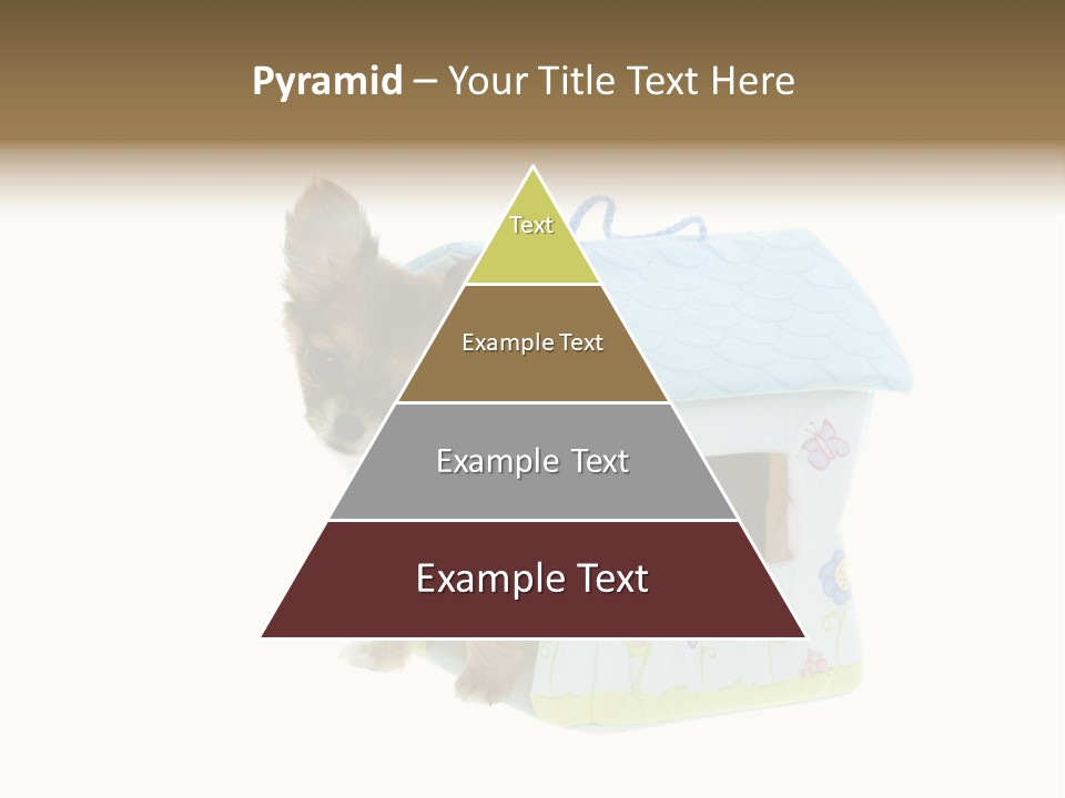 Care Treatment Body PowerPoint Template