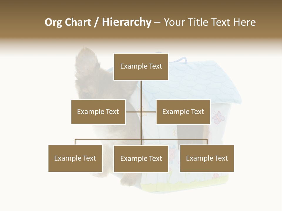 Care Treatment Body PowerPoint Template