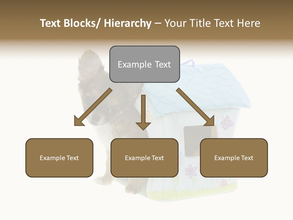 Care Treatment Body PowerPoint Template