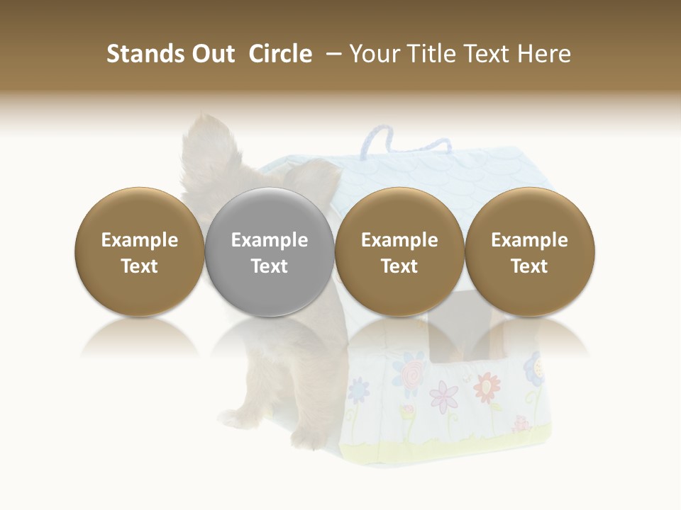 Care Treatment Body PowerPoint Template