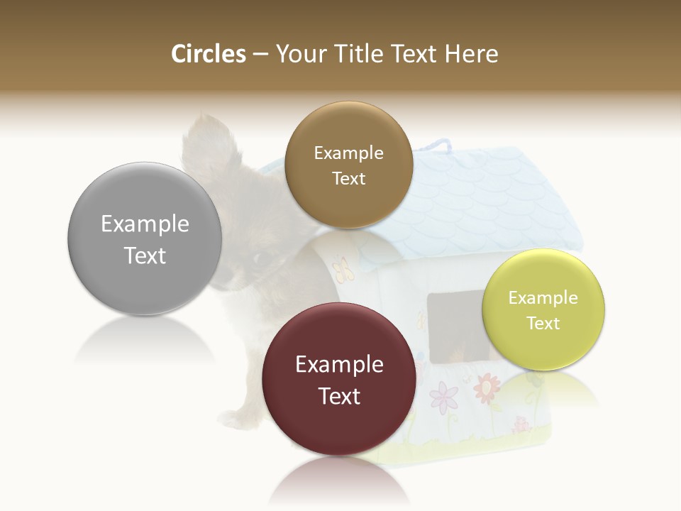 Care Treatment Body PowerPoint Template