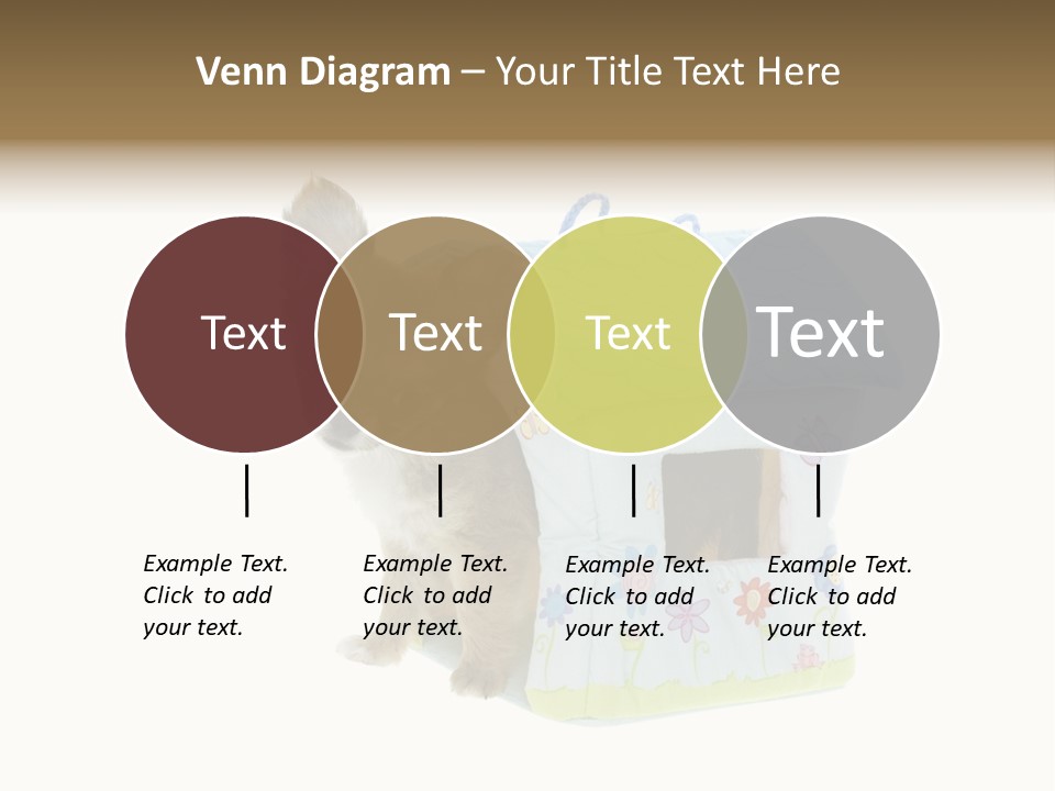 Care Treatment Body PowerPoint Template