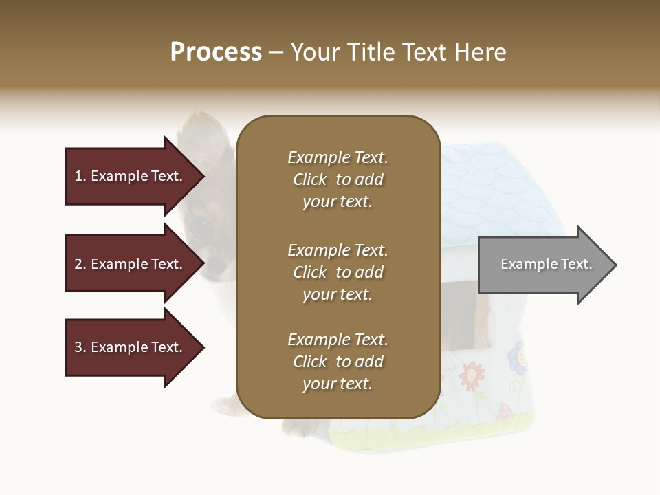 Care Treatment Body PowerPoint Template
