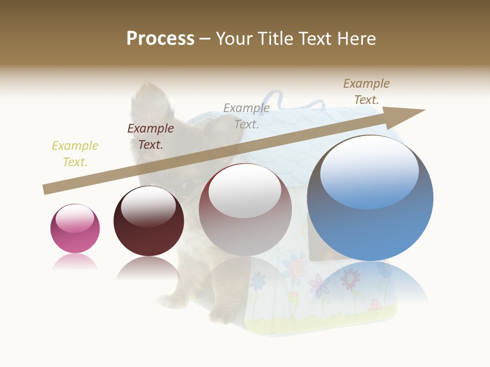 Care Treatment Body PowerPoint Template